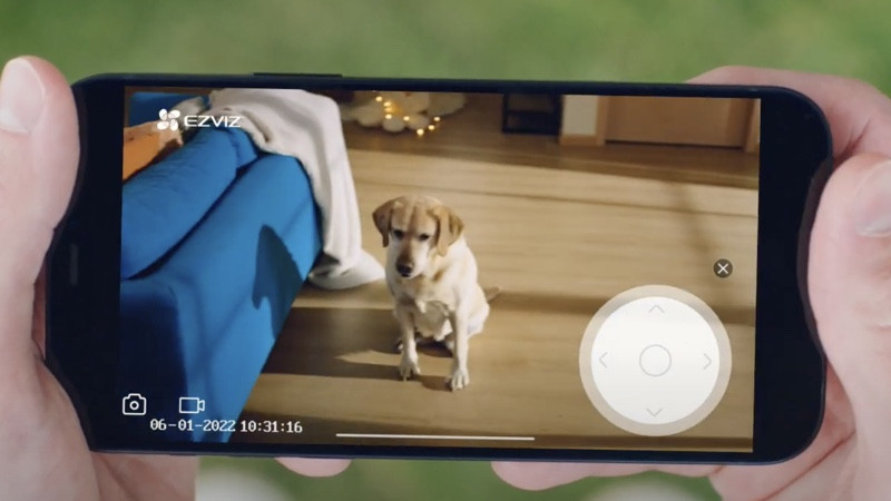 Why the EZVIZ C6 is the perfect smart home camera for pet owners