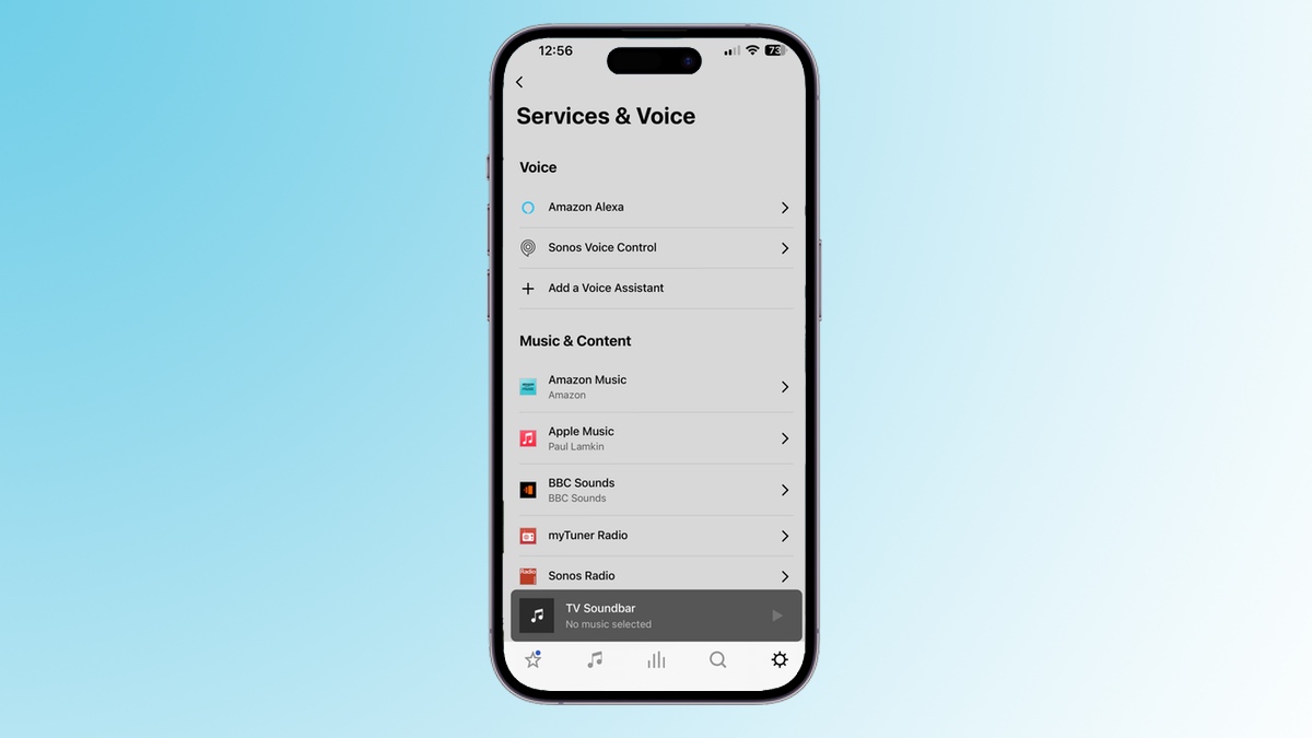 Sonos app voice assistant options