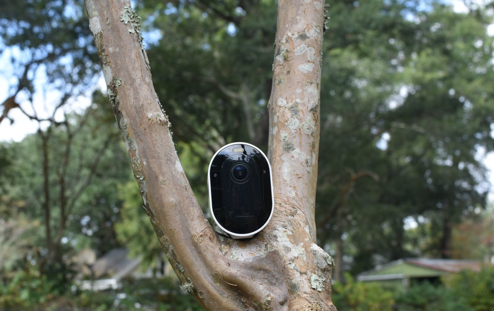 Arlo Pro 4 in a tree