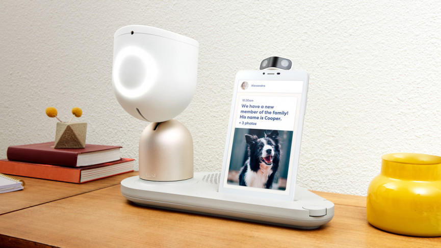 Rise of the social home robots
