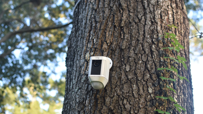 Ring Spotlight Cam in tree