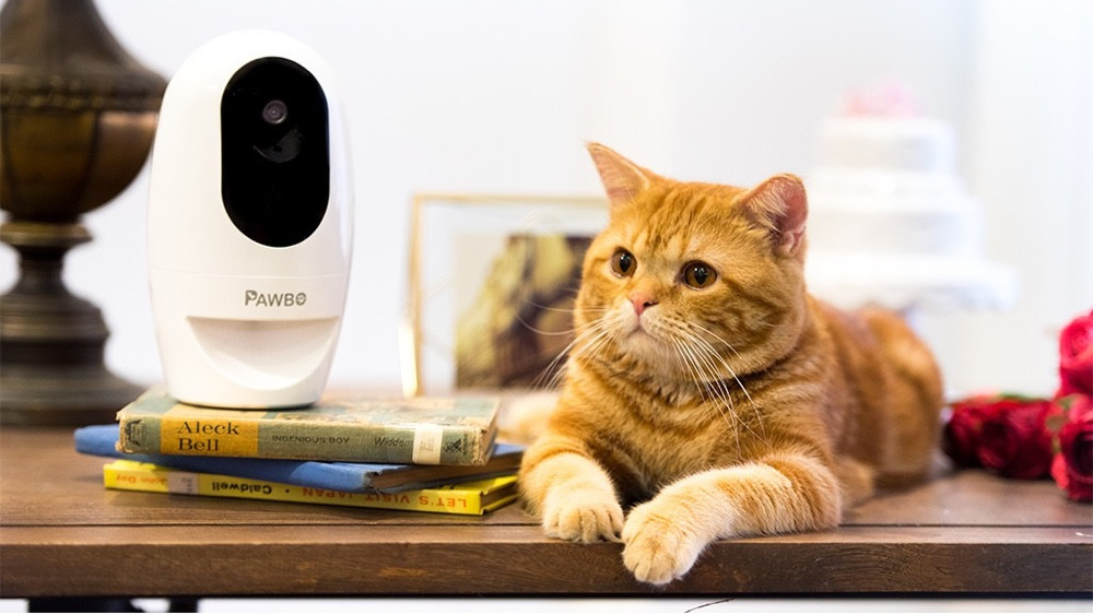 The best pet cameras and and treat dispensers