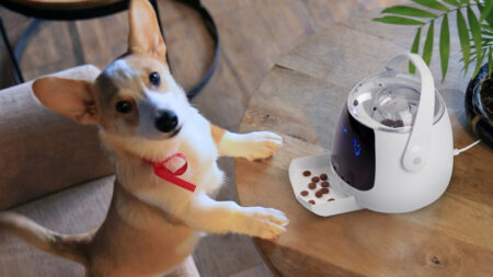 Pawbo Munch pet camera gets release