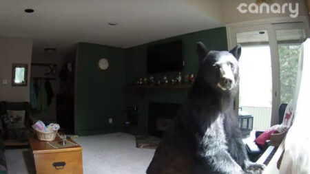 10 best home camera moments