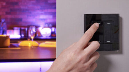 Best Friends of Hue light switches