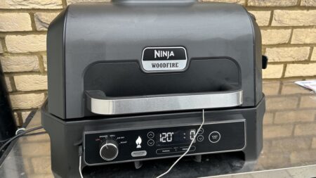 Ninja Woodfire Pro XL with temp probe