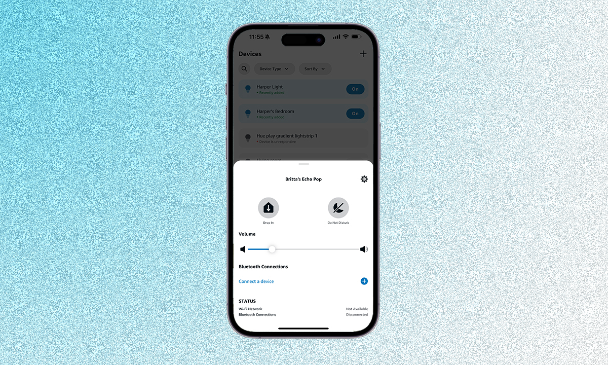 Echo settings in Alexa app
